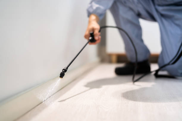 Licensed Cockroach Control service in Camp Barrett, VA - Nex Pest Control