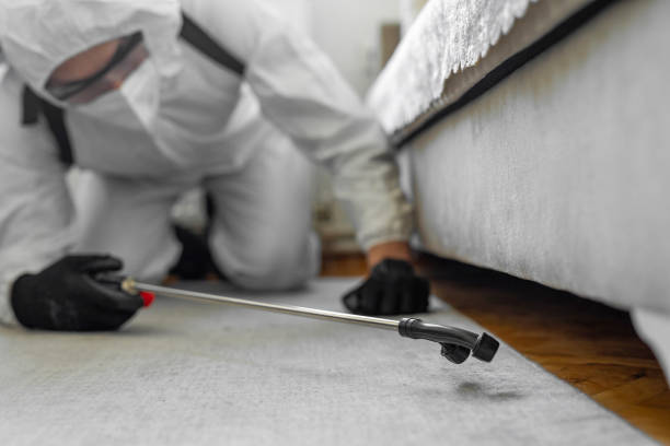 Professional Cockroach Control technician working in Camp Barrett, VA