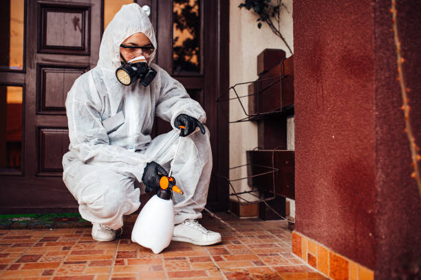 Reliable Cockroach Control contractor in Camp Barrett, VA by Nex Pest Control
