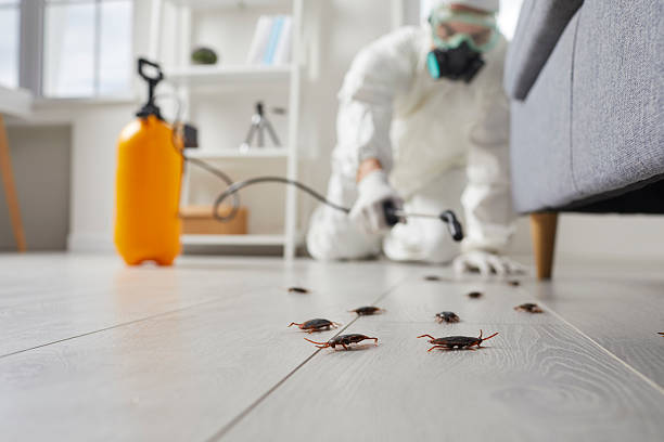 Affordable Cockroach Control solutions in Camp Barrett, VA