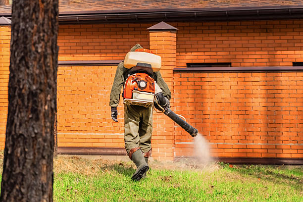Top rated local Cockroach Control specialists in Camp Barrett, VA